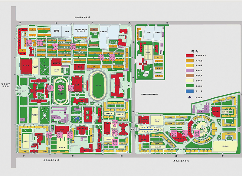 综合平面图绘制
